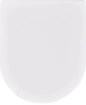 Крышка-сиденье для унитаза с микролифтом Terminus Аврора белый 91S01-11W