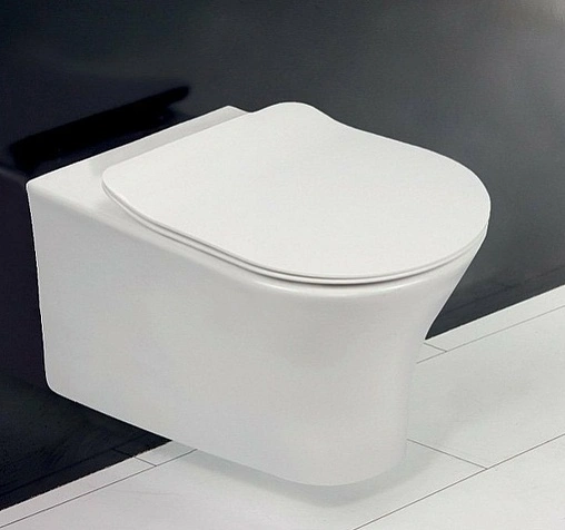 Крышка-сиденье для унитаза с микролифтом BelBagno белый BB2034SC