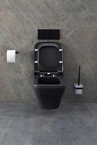 Унитаз подвесной безободковый Allen Brau Infinity антрацит 4.21011.AN