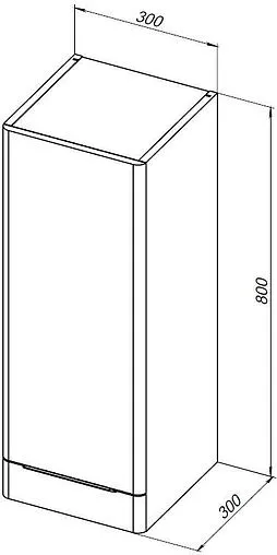 Шкаф-пенал подвесной Aquanet Ирис new 30 белый глянец 00310155