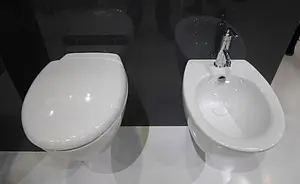 Биде подвесное Jacob Delafon Presquile белый E4441-00, 4