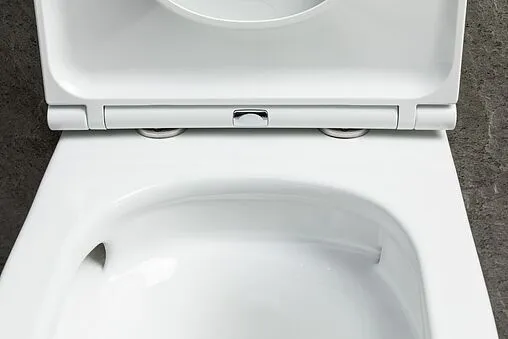 Унитаз подвесной безободковый Allen Brau Priority Tornado белый 4.31008.20