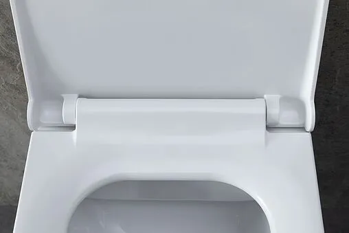 Унитаз подвесной безободковый Allen Brau Infinity белый 4.21011.20