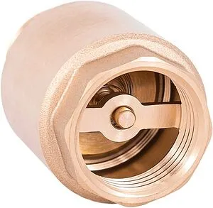 Погружной пружинный обратный клапан с фильтром 1"в Belamos FV-D 1 Погружной пружинный обратный клапан с фильтром 1"в Belamos FV-D 1, 2