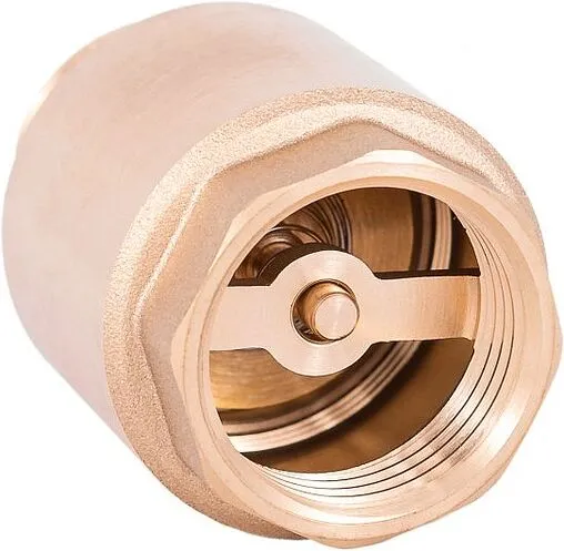 Погружной пружинный обратный клапан с фильтром 1"в Belamos FV-D 1 Погружной пружинный обратный клапан с фильтром 1"в Belamos FV-D 1