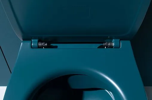 Унитаз подвесной безободковый Allen Brau Fantasy петроль 4.11004.PT