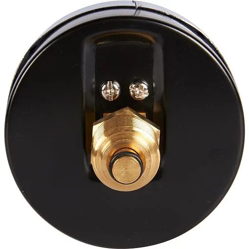 Термоманометр аксиальный Rommer 80мм 6 бар 120°С ½&quot; RIM-0005-800615