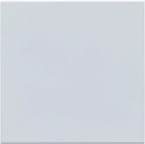 Полка Aquanet Магнум 22.5 белый матовый 00302235