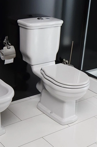 Унитаз-компакт безободковый BelBagno Boheme P-trap белый BB115CPR+BB115T Унитаз-компакт безободковый BelBagno Boheme P-trap белый BB115CPR+BB115T