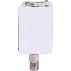 Реле давления Росма РД-2Р модель 35 ½&quot;н 00000024000, 5