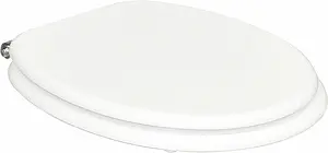 Крышка-сиденье для унитаза с микролифтом BelBagno Trevi белый BB135SCM-CRM, 1