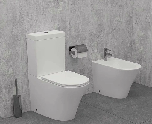 Унитаз-компакт безободковый Jacob Delafon Rodin+ Rimless белый UJAB102-00+ETAB232-00