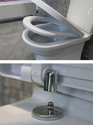 Унитаз-компакт Sanita Luxe Max белый WC.CC/Max/2-DM/WHT.G/S1