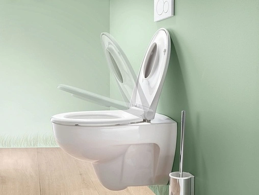 Комплект 5 в 1 Geberit Renova Rimfree 500.124.TC.R с кнопкой Delta 21 хром глянцевый Комплект 5 в 1 Geberit Renova Rimfree 500.124.TC.R с кнопкой Delta 21 хром глянцевый