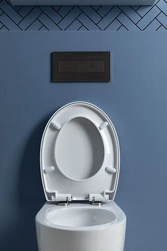 Унитаз подвесной безободковый Aquanet Zvezda Rimless белый ZV-1 Унитаз подвесной безободковый Aquanet Zvezda Rimless белый ZV-1