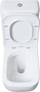 Унитаз-компакт безободковый Allen Brau Infinity белый 4.21001.20+4.21002.20 Унитаз-компакт безободковый Allen Brau Infinity белый 4.21001.20+4.21002.20, 5