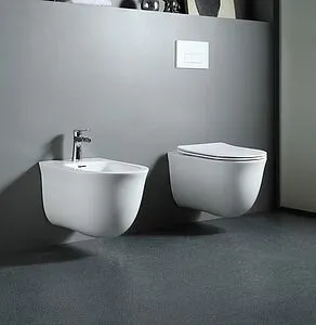 Биде подвесное Aquatek Классик белый AQ1160-00, 3