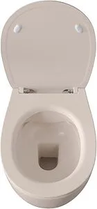 Унитаз подвесной безободковый Allen Brau Fantasy айвори 4.11004.IV, 3