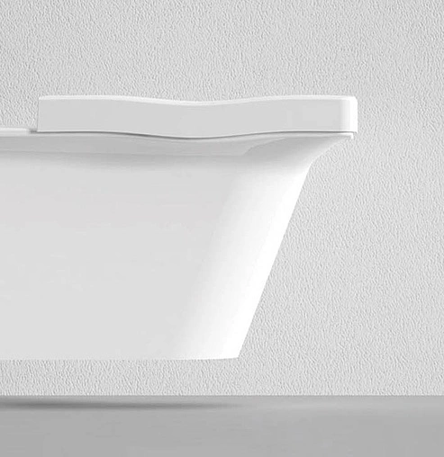 Унитаз подвесной с функцией биде Bien Lotus белый LTKA054GMVP1W3000