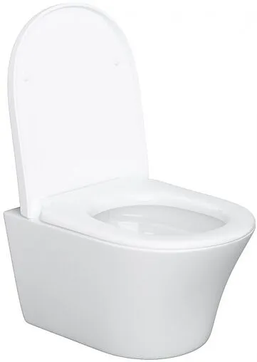 Унитаз подвесной безободковый Damixa Skyline белый DX35C1700SC Унитаз подвесной безободковый Damixa Skyline белый DX35C1700SC