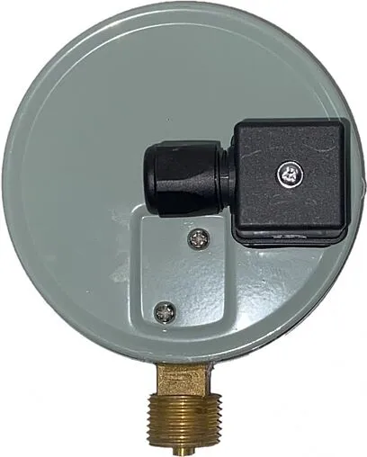 Манометр с токовым выходом Ermangizer АДМ-100.3-0,6 IP54