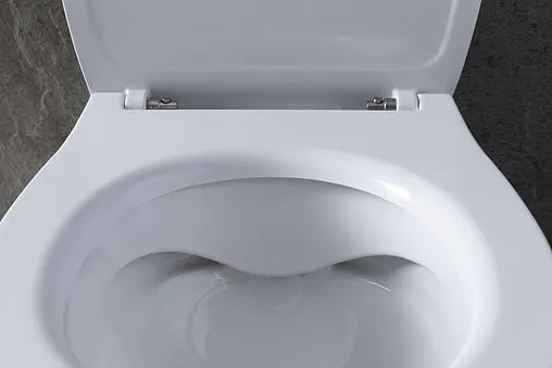 Унитаз приставной безободковый Allen Brau Fantasy белый 4.11007.20