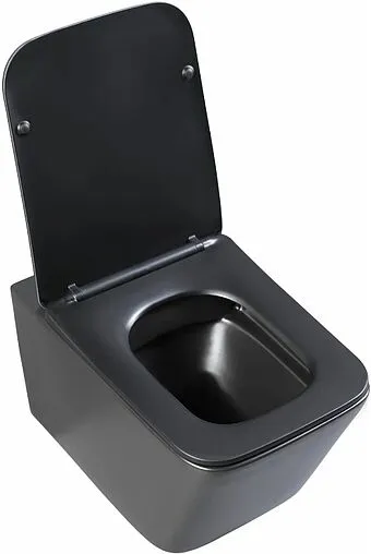 Унитаз подвесной безободковый Aquanet Tavr-W BW Rimless черный матовый TAVR-W BW Унитаз подвесной безободковый Aquanet Tavr-W BW Rimless черный матовый TAVR-W BW