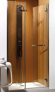 Дверь в нишу 1000мм тонированное стекло Radaway Carena DWJ 100 R 34322-01-08NR Дверь в нишу 1000мм тонированное стекло Radaway Carena DWJ 100 R 34322-01-08NR, 1