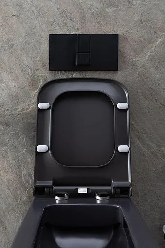 Унитаз подвесной безободковый Allen Brau Infinity антрацит 4.21011.AN