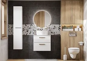 Зеркало с подсветкой Roca Luna 60 ZRU9307557 Зеркало с подсветкой Roca Luna 60 ZRU9307557, 5