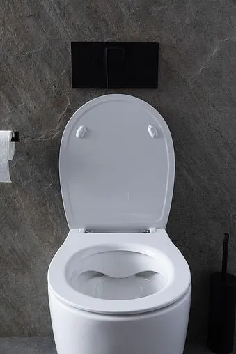 Унитаз приставной безободковый Allen Brau Fantasy белый 4.11007.20