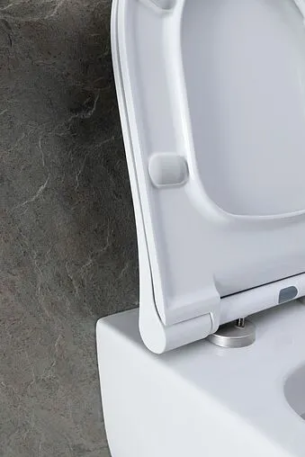 Унитаз подвесной безободковый Allen Brau Priority белый 4.31001.20