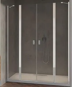 Дверь в нишу 2000мм прозрачное стекло Radaway NES DWD II 200 10037103-01-01+10041097-01-01, 1