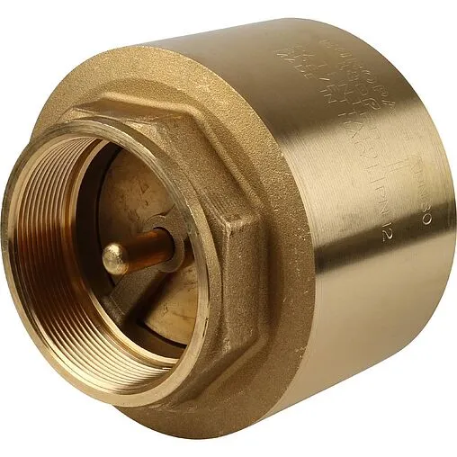 Клапан обратный пружинный 3"в x 3"в Itap Europa 1000300