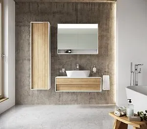 Шкаф-зеркало Ravak Step 100 белый X000001421, 5