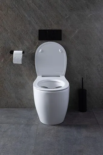 Унитаз приставной безободковый Allen Brau Fantasy белый 4.11007.20