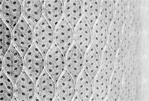 Угольный картридж Slim Line 10" Аквабрайт УГП-10 Угольный картридж Slim Line 10" Аквабрайт УГП-10, 2