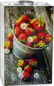 Водонагреватель проточный газовый Lenz Technic 10L Berry LT10GB, 1