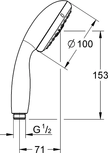 Лейка ручного душа Grohe Tempesta New 100 IV хром 28421002