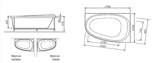 Панель для ванны фронтальная Am.Pm Like 170 белый W80A-170U110W-P