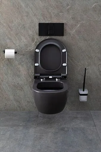 Унитаз подвесной безободковый Allen Brau Priority антрацит 4.31001.AN