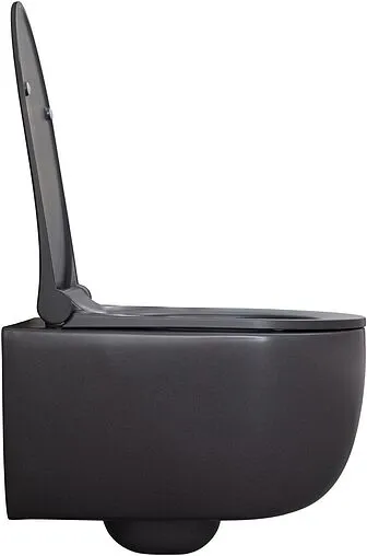 Унитаз подвесной безободковый Allen Brau Priority антрацит 4.31002.AN