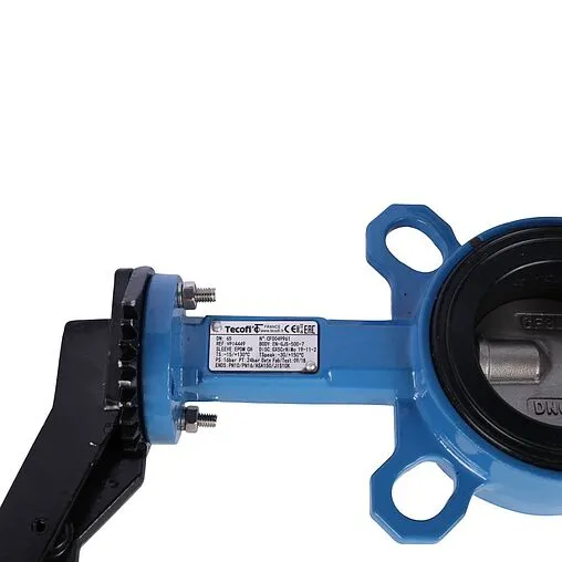 Затвор дисковый поворотный межфланцевый Ду65 Ру16 Tecofi VPI4449-02EP0065 Затвор дисковый поворотный межфланцевый Ду65 Ру16 Tecofi VPI4449-02EP0065