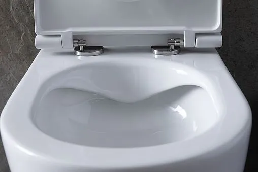 Унитаз подвесной безободковый Allen Brau Reality белый 4.32006.20