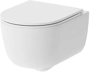 Унитаз подвесной безободковый с функцией биде Damixa Sirius белый DX86C1800SC Унитаз подвесной безободковый с функцией биде Damixa Sirius белый DX86C1800SC, 1