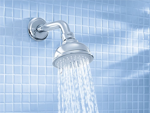 Лейка верхнего душа Grohe New Tempesta Rustic 100 хром 27610000