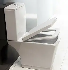 Унитаз-компакт безободковый BelBagno Regina белый BB104CP+BB104T Унитаз-компакт безободковый BelBagno Regina белый BB104CP+BB104T, 5