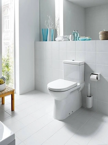 Чаша унитаза Laufen Pro белый 8.2495.8.000.000.1