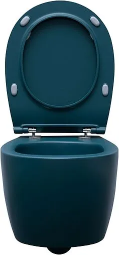 Унитаз подвесной безободковый Allen Brau Fantasy петроль 4.11004.PT