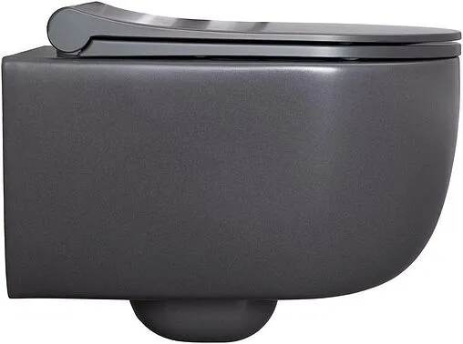 Унитаз подвесной безободковый Allen Brau Priority антрацит 4.31002.AN